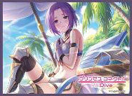 『プリンセスコネクト!Re:Dive』マットシリーズ ジュン(サマー)(No.MT1896) パック